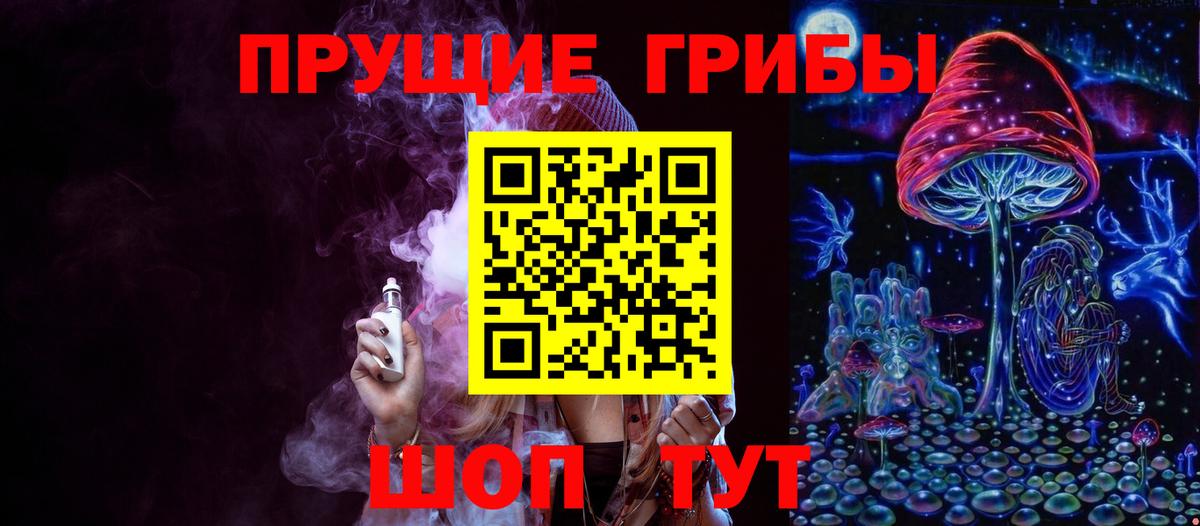 купить наркотики сайты  Вход с VPN  Новокуйбышевск  Галлюциногенные грибы GOLDEN TEACHER  Псилоцибиновые грибы MAGIC MUSHROOMS 