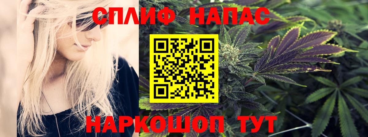 Марихуана сатива Новокуйбышевск